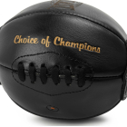 Пневматична груша на розтяжках EVERLAST1910 Pro Leather Double