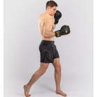 Шорти для ММА VENUM Streamline Fightshorts