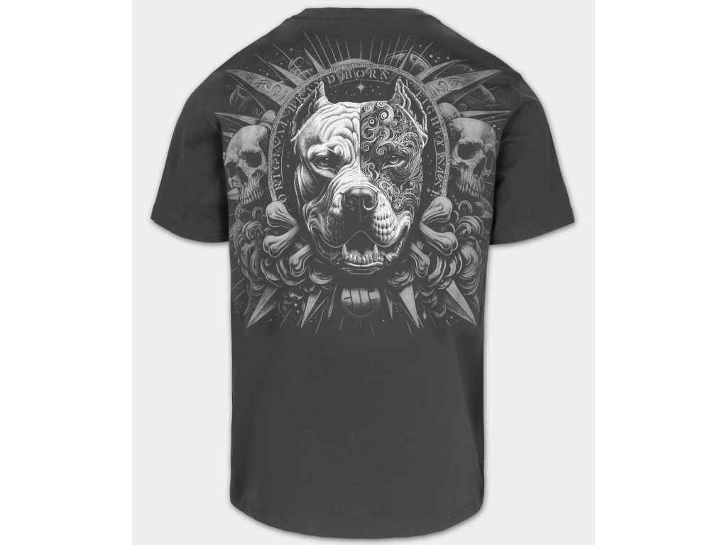 Футболка PIT-BULL World T-Shirt