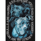 Футболка PIT BULL Protector T-Shirt